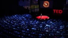 Her Danışmanın İzlemesi Gereken 6 TED Konferansı