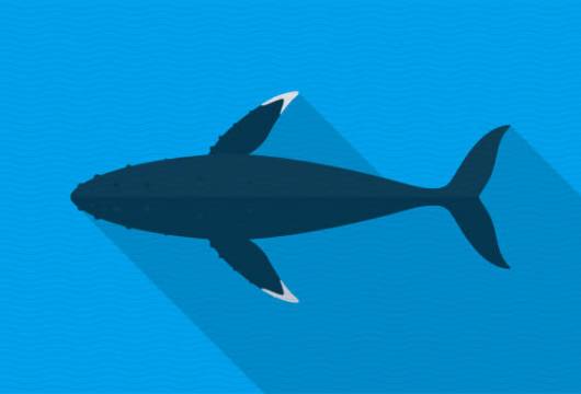 Neden Bir Balina Listesine İhtiyacınız Var?