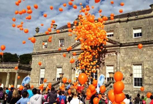 Referans Kaynağı Müşteri Minnet Etkinlikleri