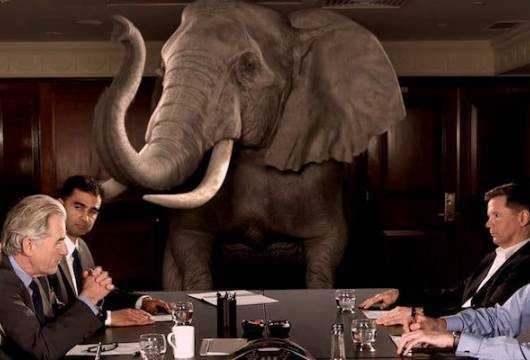 Parayı Masada Bırakan Odadaki Fil Sendromu ve Çözümü