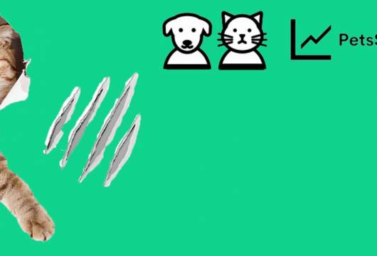 Petscore: Evcil Hayvan Sahipleri İle Ev Sahipleri Arasındaki Sorunu Çözen Girişim