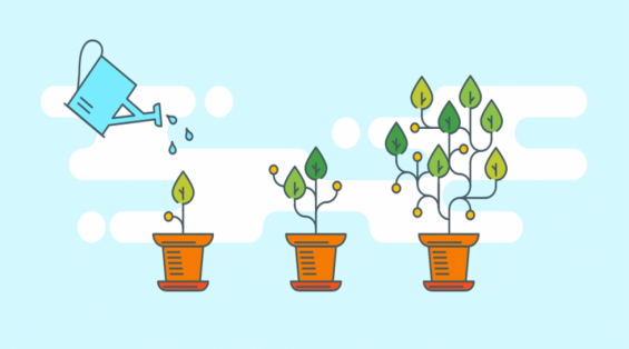 Müşteri Ömür Değeri ve Bilinirlik Pazarlaması Nedir?