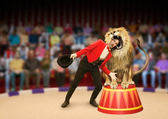 Bir Danışmanın Riskleri ve İtibarı