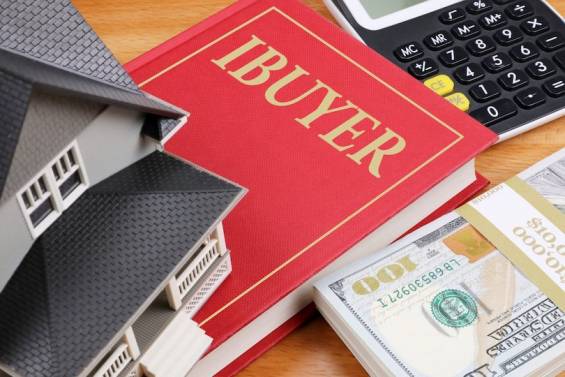 Ev Sahipleri iBuyers Hakkında Şüpheli, Ama Yine de Meraklı