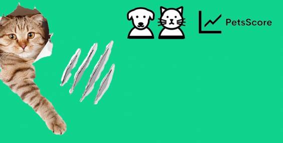 Petscore: Evcil Hayvan Sahipleri İle Ev Sahipleri Arasındaki Sorunu Çözen Girişim
