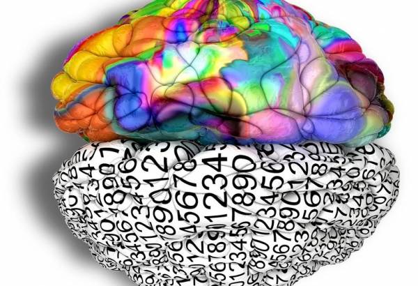 Dünya Çapında Başarılar Elde Etmek İçin Üniversite Mezunu Olmanız Gerekmiyor