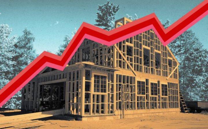 Kereste Fiyatları Neden Artıyor? Kereste Kıtlığının Arkasındaki Gerçekler